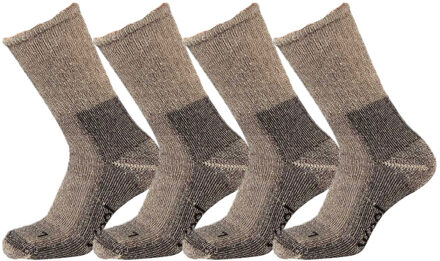Xtreme Trekking Sokken Thermal Medium 4-pack Grey Mouliner-35/38 - 35/38