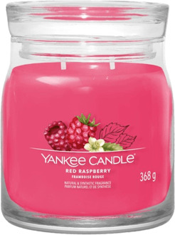 Yankee Candle Geurkaars Medium - met 2 lonten - Red Raspberry - 11 cm / ø 9 cm Rood