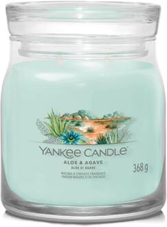 Yankee Candle Geurkaarsen Yankee Candle Signature Medium Jar Aloe & Agave 368 g