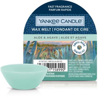 Yankee Candle Geurkaarsen Yankee Candle Wax Melt Aloe & Agave 22 g