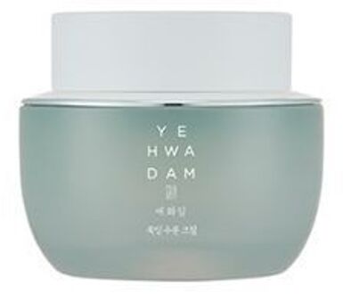 Yehwadam Artemisia Soothing Moisturizing Cream 120ml