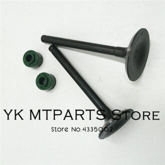 YinXiang motoronderdelen YX140 Klep Oliekeerringen en Valve set Cilinderkop Valve Kit Motor onderdelen
