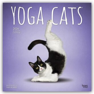 Yoga Cats - Katzen Yoga 2026 - 16-Monatskalender - Browntrout Wandkalender - Browntrout Publishers Inc