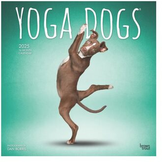 Yoga Dogs Official 2025 12 X 24 Inch Monthly Square Wall Calendar Plastic-Free - Browntrout