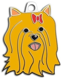 York Shire Terrier Hond Armband (Kizil)