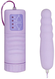 You 2 Toys Paars - Vibrator