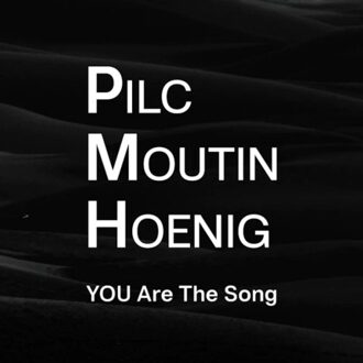 You Are The Song - Pilc/moutin/hoenig