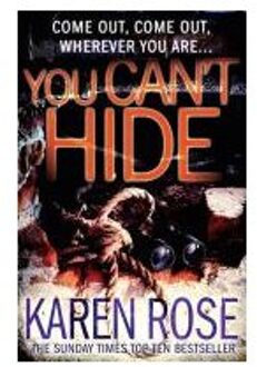 You Can't Hide (The Chicago Series Book 4)