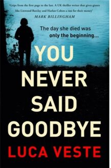 You Never Said Goodbye - Luca Veste