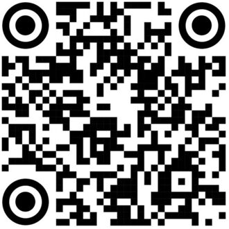 You're Only Young Once But You Can Be Stupid Forever - Bogdan Raczynski