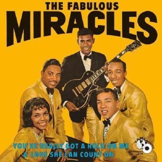 You've Really Got A Hold On Me - The Miracles