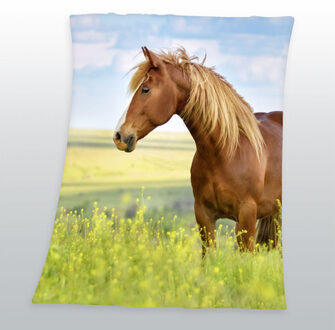 Young Collection Horse Plaid - 100% Polyester - 130x160 Cm - Multi Multikleur