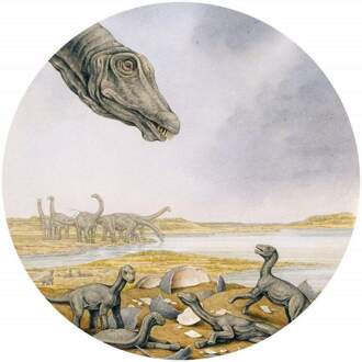 Young Titanosaurs Zelfklevend Fotobehang 125x125cm Rond Multikleur