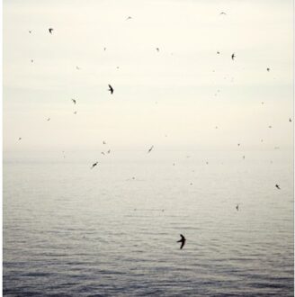 Your Naked Ghost Comes  Back