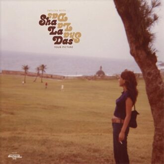 Your Picture - Sha La Das