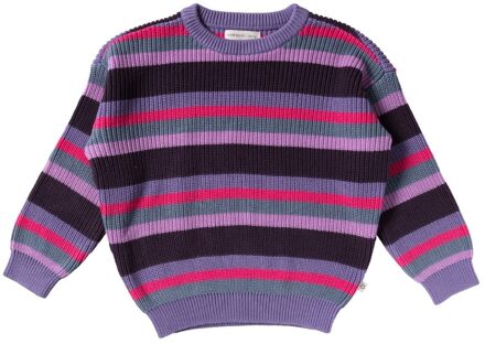 Your Wishes winter sweater meisjes - paars - gebreid, strepen - maat 134/140