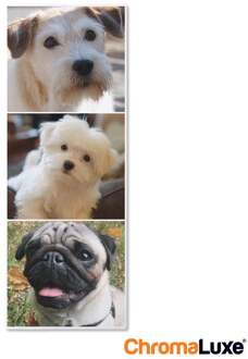 YourSurprise Foto op aluminium afdrukken - Wit (ChromaLuxe) - 30 x 80 cm