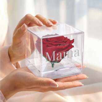 YourSurprise Preserved rose in glas (plexi)