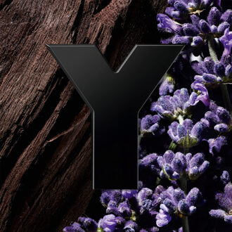 YSL Yves Saint Laurent Y Le Parfum 200ml