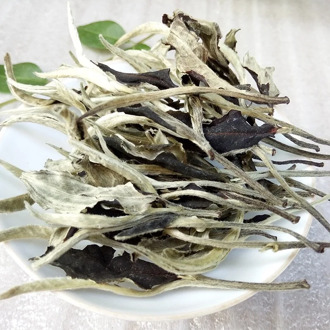 Yunnan Tea Jinggu Moonlight White Tea Big White Silver One Bud One Leaf Menghai Big Tree Tea