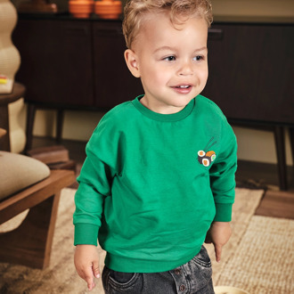 Z8 jongens sweater Groen - 80