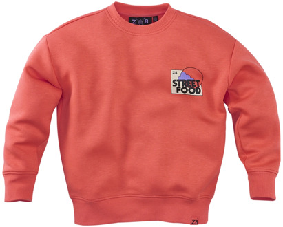 Z8 jongens sweater Koraal - 152-158