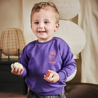 Z8 jongens sweater Paars - 104