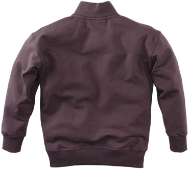 Z8 jongens sweater Paars - 116-122