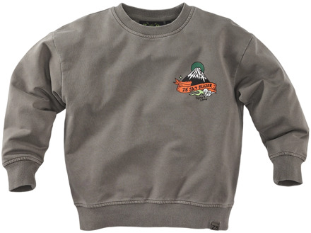 Z8 jongens sweater Taupe - 104-110
