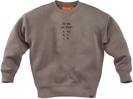 Z8 jongens sweater Taupe - 104-110