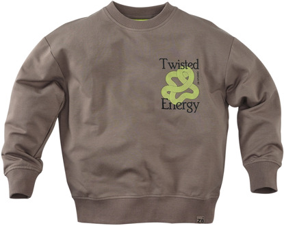 Z8 jongens sweater Taupe - 128-134