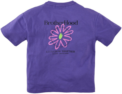 Z8 jongens t-shirt Paars - 152-158