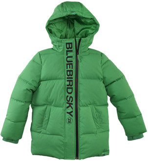 Z8 jongens winterjas Groen - 152-158