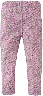 Z8 meisjes legging Paars - 80