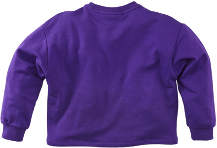 Z8 meisjes longsleeve Paars - 116-122