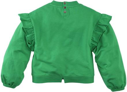 Z8 meisjes sweater Groen - 116-122