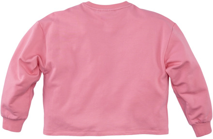 Z8 meisjes sweater Rose - 140-146