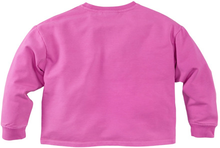 Z8 meisjes sweater Rose - 152-158