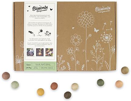 Zaadbommetjes Gift Box - Large