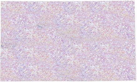 Zachte Hand Rust Nail Art Kolom Hand Holder Kussen Kussen Pad Nail Houder Arm Rest Opvouwbare Wasbare Manicure Nails Gereedschap 1010 veelkleurig