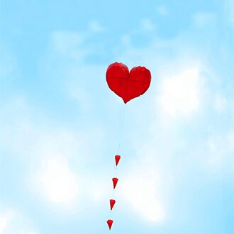 zachte kite liefde hart vlieger nylon ripstop outdoor speelgoed grote vliegende kite fabriek lopen in sky kaixuan kite albatross