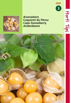 Zaden - Ananaskers - Physalis Edulis (Peruviana)