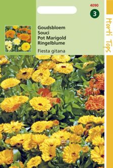 Zaden - Calendula Officinalis Fiesta Gitana Gemengd