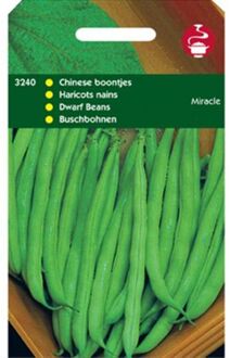 Zaden - Chinese Boontjes Miracle