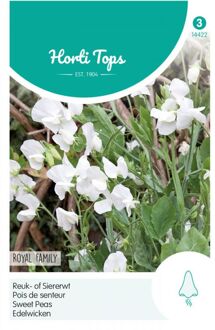 Zaden - Lathyrus Odor. Royal Family Wit