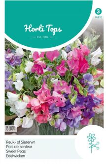 Zaden - Lathyrus odoratus Bijou gemengd