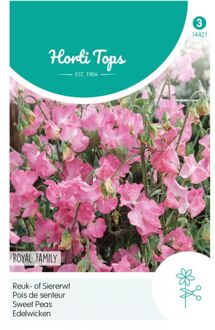 Zaden - Lathyrus Odoratus Royal Family Rose