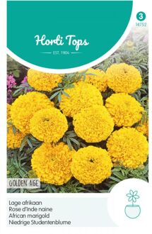 Zaden - Tagetes Erecta Nana Golden Age