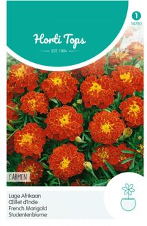 Zaden - Tagetes Patula Nana Carmen