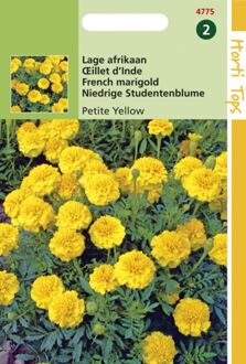 Zaden - Tagetes Patula Nana Petite Yellow